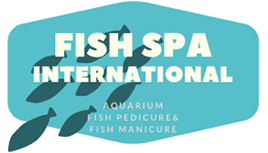 Fish Spa International, Saint-Rémy-de-Provence"