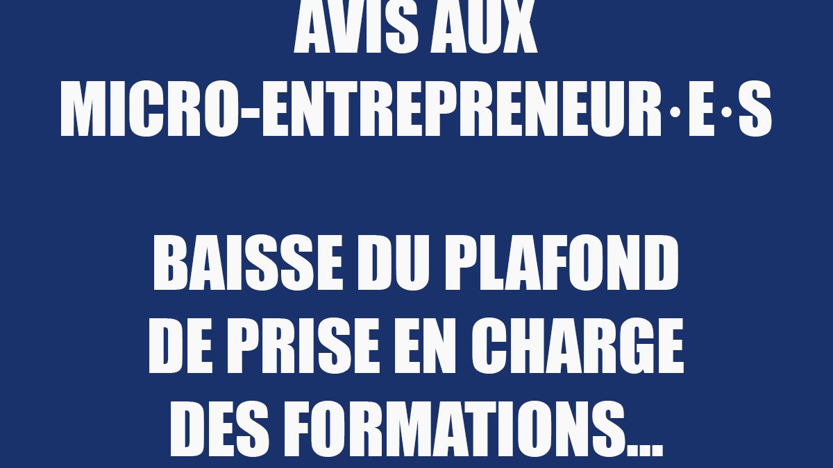annonce de baisse de budget formation pour les micro-entrepreneurs