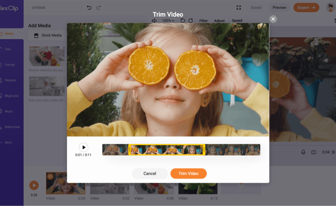 Interface de découpage de vidéo de FlexClip